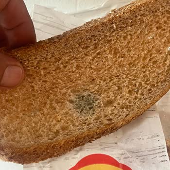 Küflü Ürün Ve İlgisiz Müşteri Hizmetleri Hayal Kırıklığı