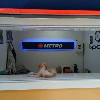 Otogarda Hijyen Sorunu Ve Personel İlgisizliği Yaşadım