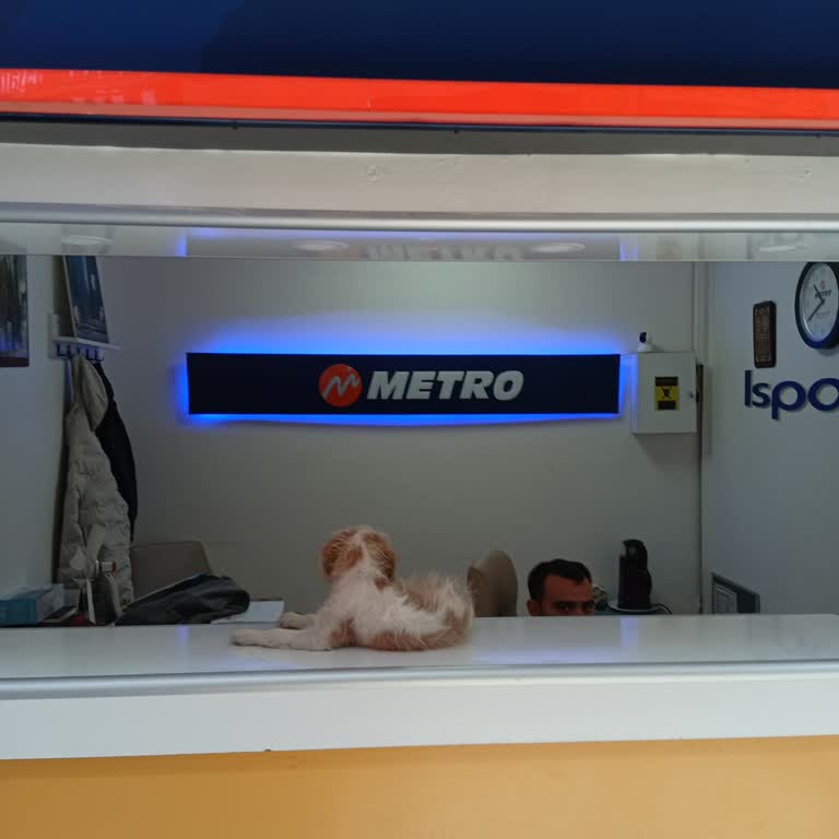 Otogarda Hijyen Sorunu Ve Personel İlgisizliği Yaşadım
