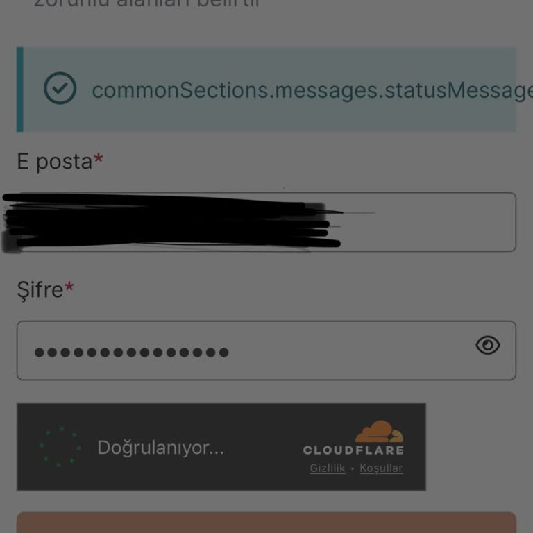 VFS Fransa Randevu Sisteminde Sürekli Hata Alıyorum Hesabım Kitleniyor