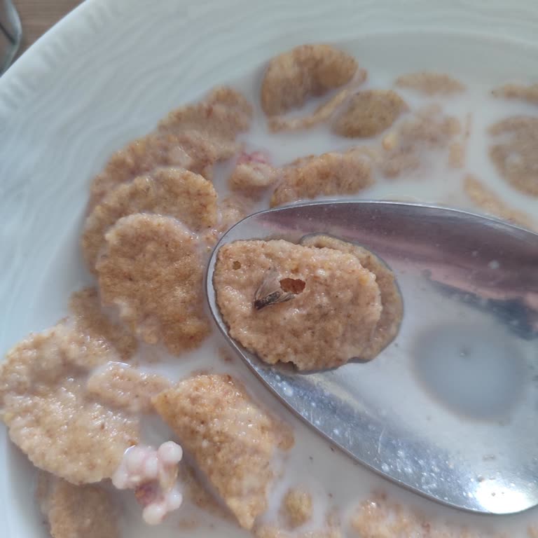 Kellogg's Kırmızı Meyveli Gevrekten Böcek Çıktı!