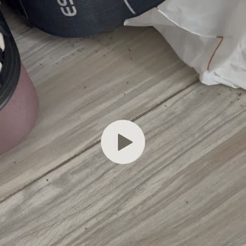 Robinson Club Hijyen Sıfır, Odamızı Karınca Bastı!