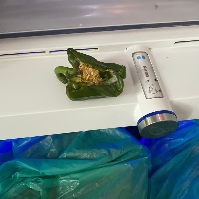 Yazın Soğutmayan Buzdolabı Tekrar Eden Arıza