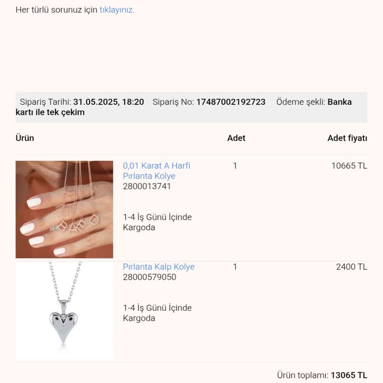 Doğum Günü Hediyesi Siparişim Hala Teslim Edilmedi Ve Müşteri Hizmetlerine Ulaşamıyorum