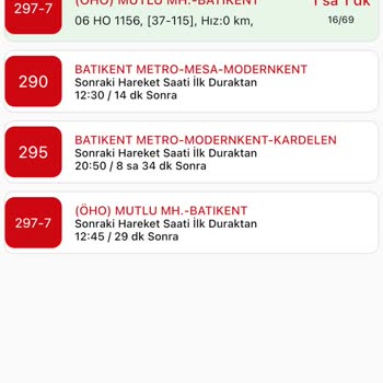 297 Numaralı Otobüsün Durağı Atlaması Ve Yolcu Mağduriyeti