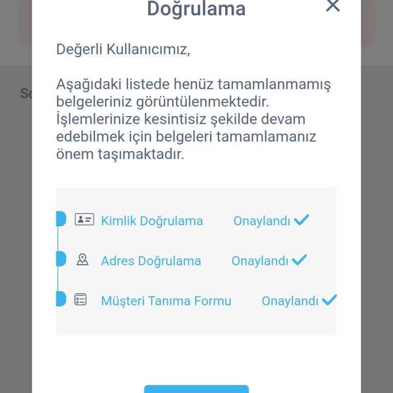 Hesap Onayı Sorunu Ve Kaybolan Coinler: Mağduriyet Yaşıyorum