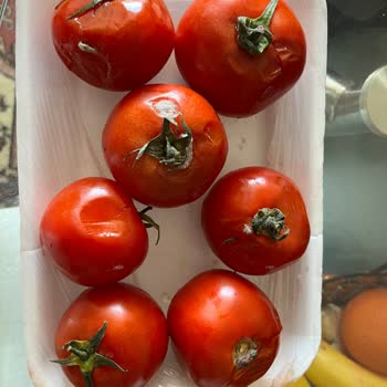 Migros Marketten Aldığım Domateslerin Bozuk Çıkması