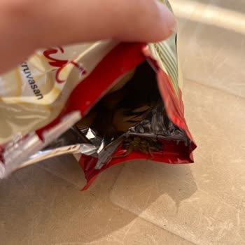 Aldığım Kruvasanın İçinde Büyük Bir Böcek Çıktı İnsan Sağlığı Tehlikede