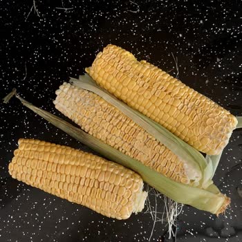 Migros Sanal Market'te Sürekli Eksik Ve Sorunlu Ürün Teslimatı