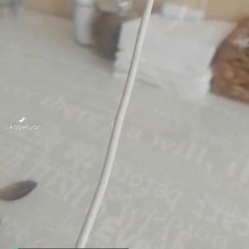 Superonline İnternet 17 Gündür Yok!