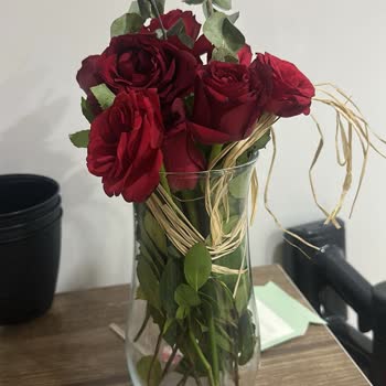 Siparişim Dağınık Ve Eksik Teslim Edildi, Çözüm Yetersiz