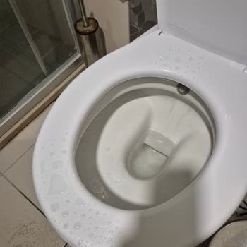 Royal Beach Club Hotel Müşteri Memnuniyetsizliği