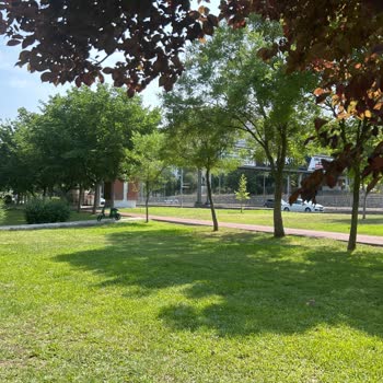 Parkta Saldırgan Köpek Nedeniyle Yaşanan Yaralanma Ve Belediyeden Geri Dönüş Alamama