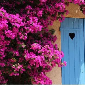 Ürün Görseliyle Farklı Geldi İade Ve İletişimde Sorun Yaşadım