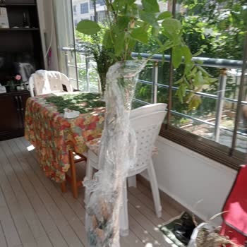 Ürün Görseliyle Farklı Geldi İade Ve İletişimde Sorun Yaşadım