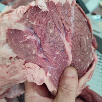 Carrefour SA'dan Alınan Kurban Etinde Ağır Koku Ve Müşteri Hizmetlerinden Dönüş Yok
