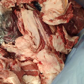 Carrefour SA'da Kurban Hissesi Mağduriyeti Ve Yağ Dolu Paket Sorunu