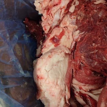 Carrefour SA'da Kurban Hissesi Mağduriyeti Ve Yağ Dolu Paket Sorunu