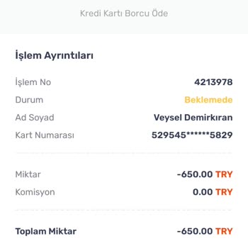 Moneytolia Kredi Kartı Borcu Ödemesi Gecikmesi Mağduriyeti