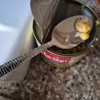 Konserve Mısırda Kurt Şoku: Tüketici Sağlığı Tehlikede