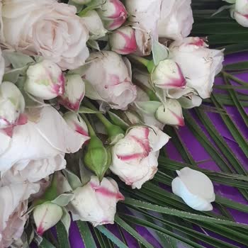 Yanıltıcı Ürün, Geç Teslimat Ve Yetersiz Müşteri Hizmeti Nedeniyle Mağduriyet