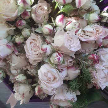 Yanıltıcı Ürün, Geç Teslimat Ve Yetersiz Müşteri Hizmeti Nedeniyle Mağduriyet