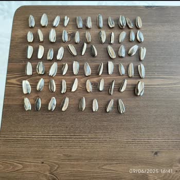 Çekirdek Paketinde Boş Ürün Ve Kalite Düşüşü