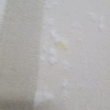 Halılar Yıkanmadan Lekeli Teslim Edildi Paramı İade Etmiyorlar