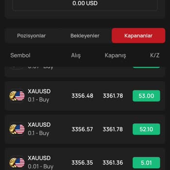 Alternatif Menkul Kazançlarımı Çekemiyorum, Para Çekmek İçin Ek Ücret İsteniyor