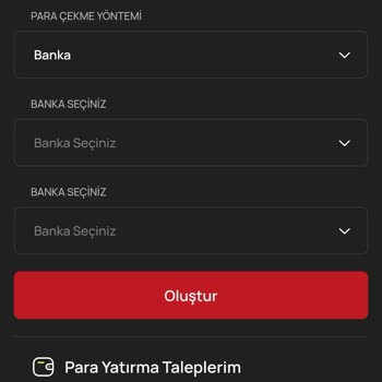 Alternatif Menkul Kazançlarımı Çekemiyorum, Para Çekmek İçin Ek Ücret İsteniyor