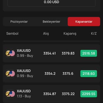 Alternatif Menkul Kazançlarımı Çekemiyorum, Para Çekmek İçin Ek Ücret İsteniyor