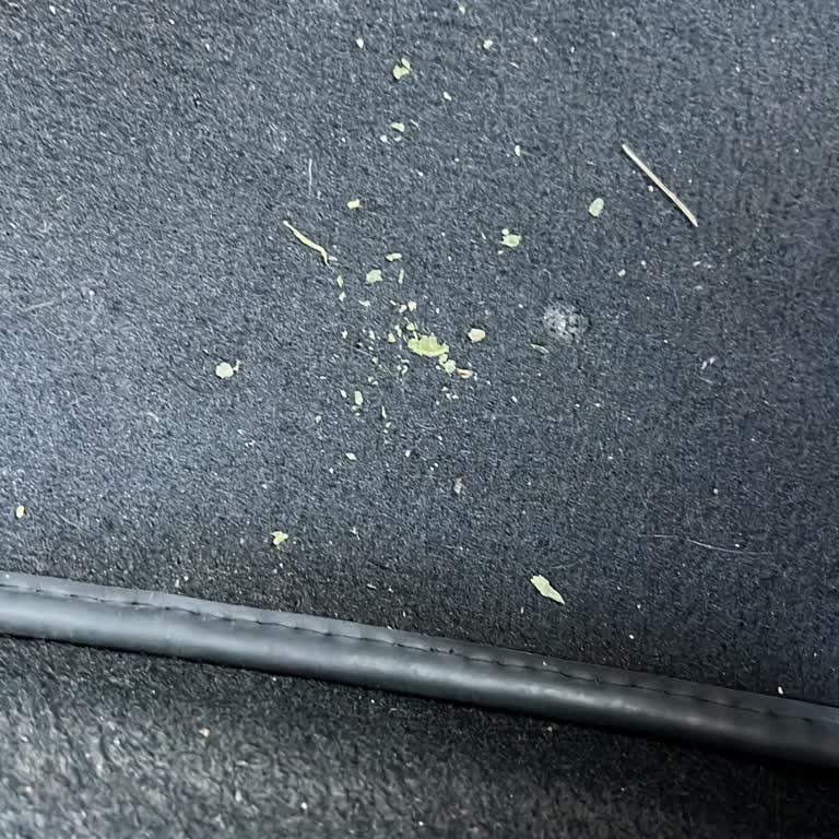 Günlük Kiralanan Araçta Km Sınırı Ve Ek Ücretler Şaşırttı