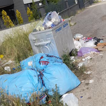 Belediye Çöp Konteynerini Düzenli Toplamıyor Art Niyet Mi Var