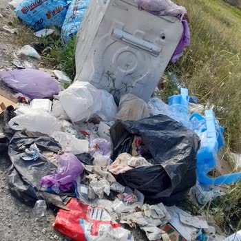 Belediye Çöp Konteynerini Düzenli Toplamıyor Art Niyet Mi Var