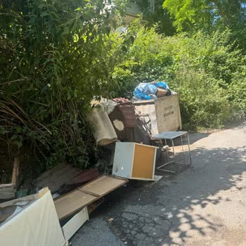 Sarıyer Belediyesi Çöpler Ve Kötü Koku Nedeniyle Yaşanmaz Hale Gelen Sokak İçin Acil Çözüm İstiyoruz