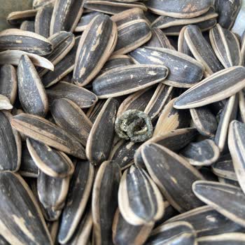 Tadım Çekirdeğinde Hijyen Sorunu Ve Güven Kaybı