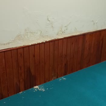 Başakşehir Belediyesi Bahçeşehir Gölet Parkı Kötü Kokusu