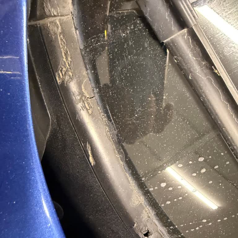 BMW F20 Ön Cam Fitili Deformasyonu Ve Servis Çözümü Talebi