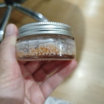 Aldığım Kaş Sabitleyici Küflendi Ve Kaşlarımı Döktü