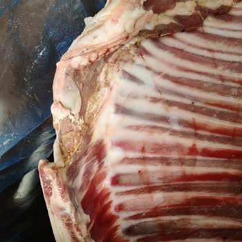 Kurbanlık Etin Bozuk Çıkması Ve Yaşanan Mağduriyet