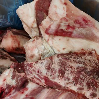 Kurbanlık Etin Bozuk Çıkması Ve Yaşanan Mağduriyet