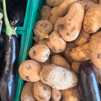 Şok Markette Filizlenmiş Patates Sağlığı Tehdit Ediyor