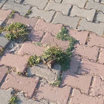 Sultanbeyli'deki Kaldırımdaki Tehlikeli Demir Parçası Yaralanmalara Sebep Oluyor