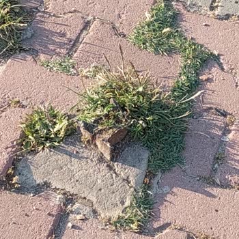 Sultanbeyli'deki Kaldırımdaki Tehlikeli Demir Parçası Yaralanmalara Sebep Oluyor