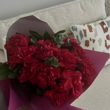 Çiçek Sepetinden Gelen Solmuş Çiçek Özel Günümü Mahvetti