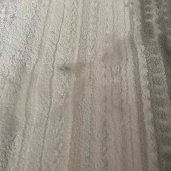 Tüylenme Yapan Halı Ve Çözüm Eksikliği