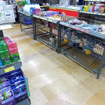 BİM Mağazasında Hijyen Kurallarına Uyulmaması Ve Kedinin Sürekli Dolaşması