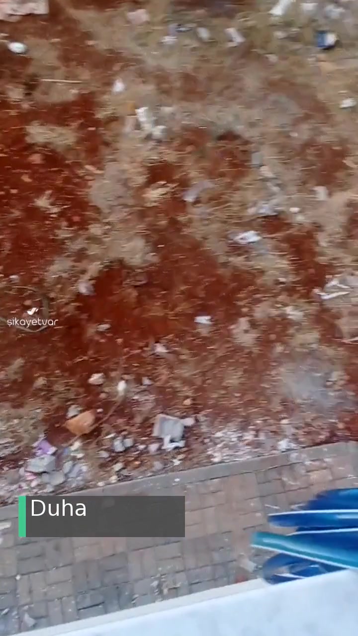 Şehitkamil Belediyesi Evde Kokudan Sinekten Duramıyorum videonun kapak resmi