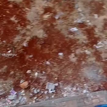 Şehitkamil Belediyesi Evde Kokudan Sinekten Duramıyorum