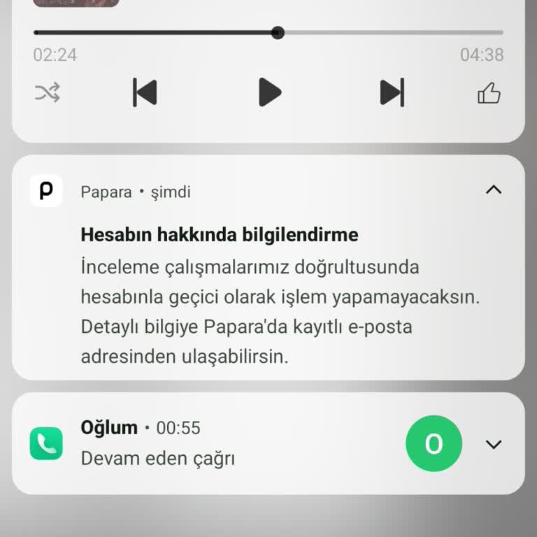 Papara İncelemesi Nedeniyle Mağduriyet Yaşıyorum
